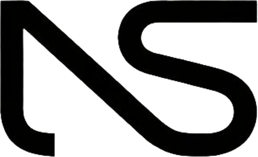 NitiSetu Consultancy logo